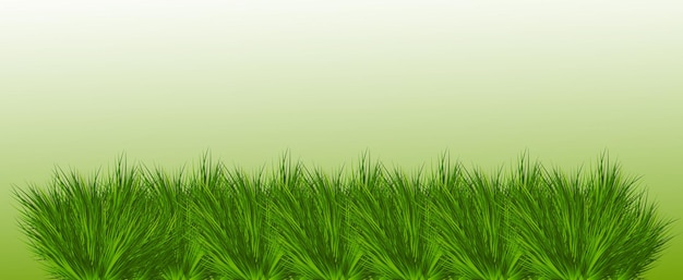 Fondo de hierba verde o hoja de árbol