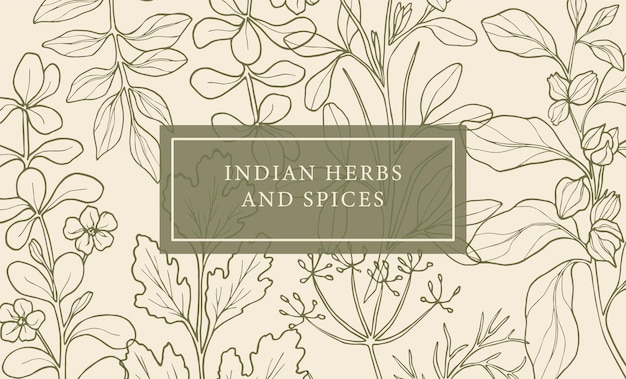 Fondo de hierbas y especias indias dibujadas a mano