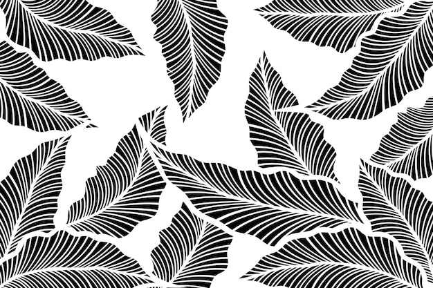El fondo de la hoja negra