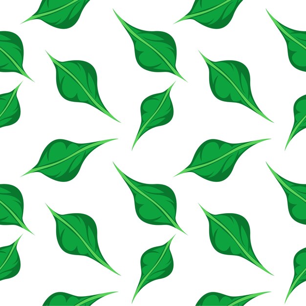 Fondo de hoja transparente