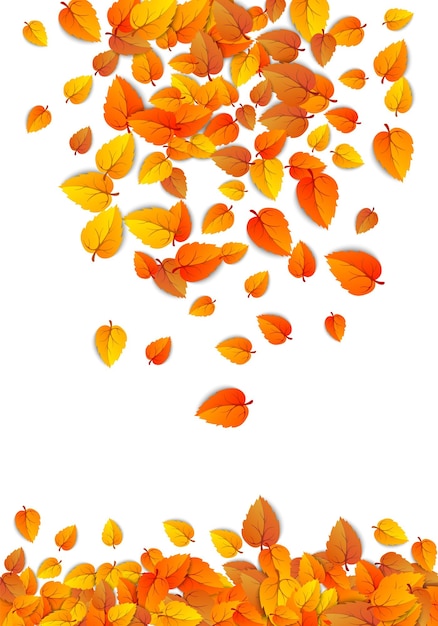 Fondo de hoja vertical de otoño bandera de otoño de follaje que cae dorado aislado en blanco vector