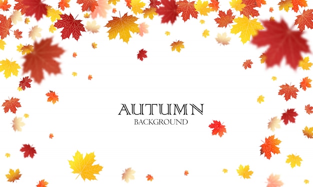 Fondo de hojas caídas de otoño Plantilla vectorial. vector de hoja
