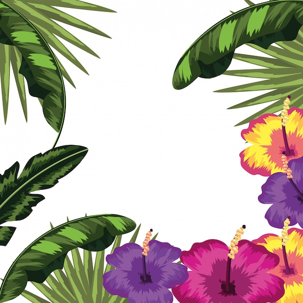 Vector fondo de hojas y flores tropicales.