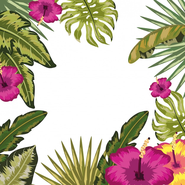 Vector fondo de hojas y flores tropicales.