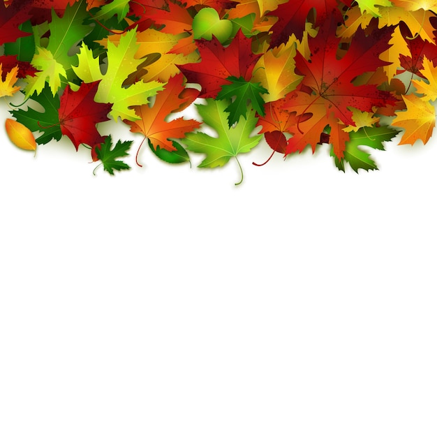 Fondo con hojas de otoño coloridas
