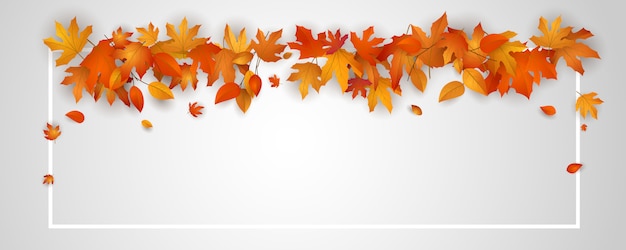 El fondo de las hojas de otoño que caen