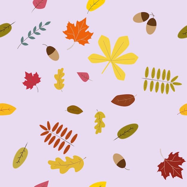 Fondo de hojas de otoño de vector transparente