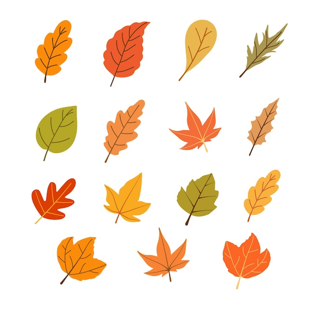 Fondo de hojas de otoño