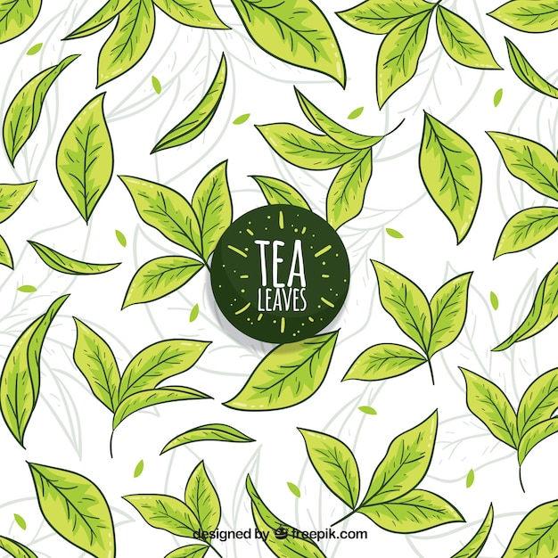 Vector fondo de hojas de té dibijado a mano