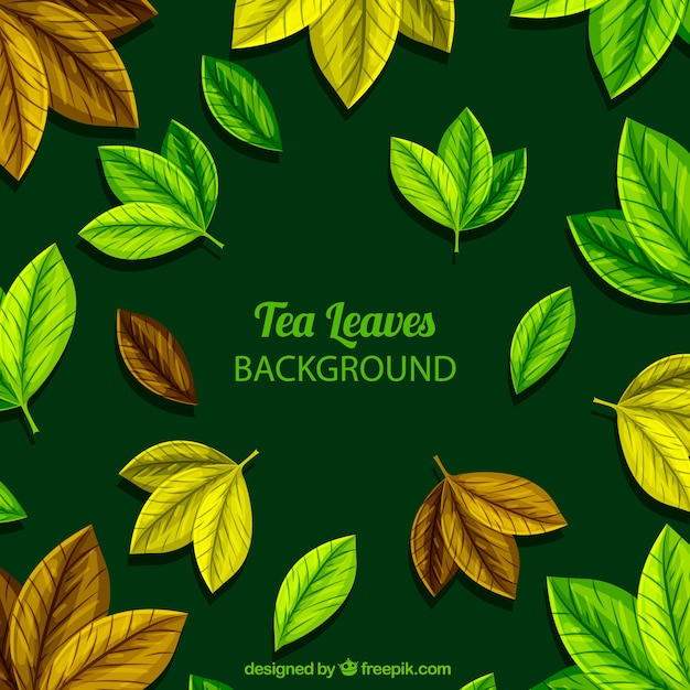 Fondo de hojas de té con diseño plano