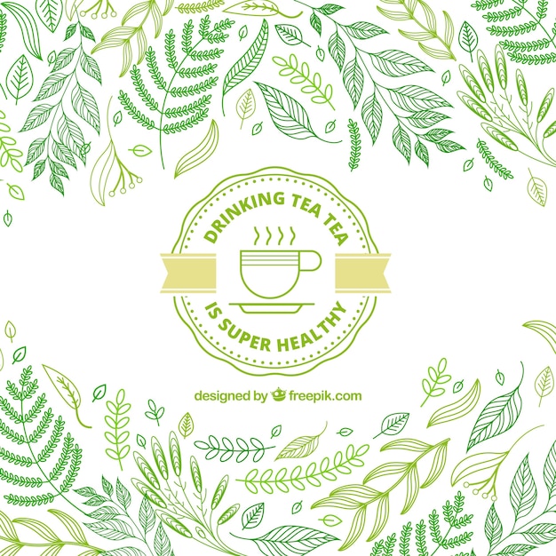 Vector fondo de hojas de té con estilo de dibujo a mano