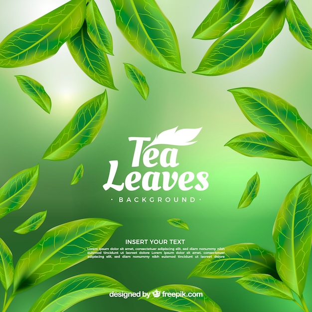 Vector fondo de hojas de té con estilo realista