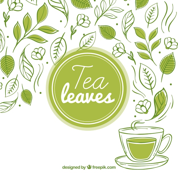 Vector fondo de hojas de té con taza de té