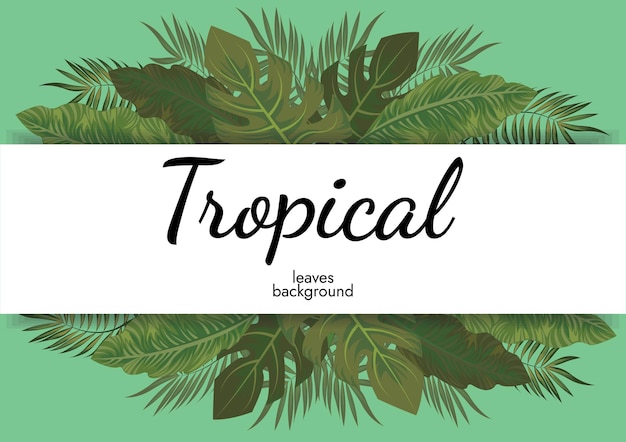 Fondo de hojas tropicales y elementos tropicales.