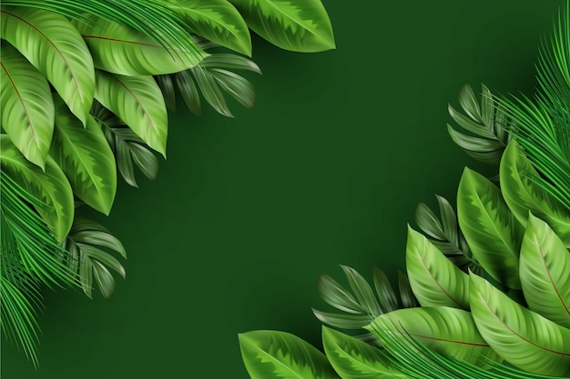 Fondo de hojas tropicales realistas