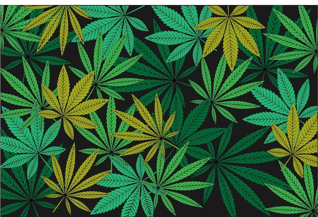 Fondo de hojas verdes y amarillas de Cannabis Sativa e Indica Marihuana médica