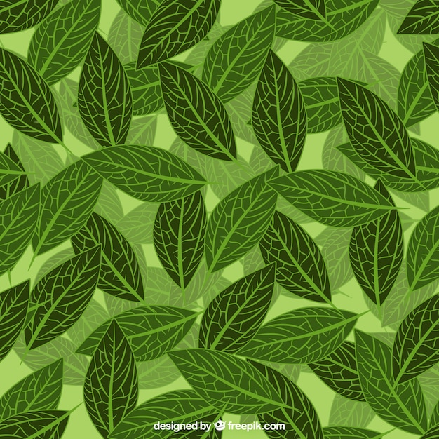 Vector fondo de hojas verdes