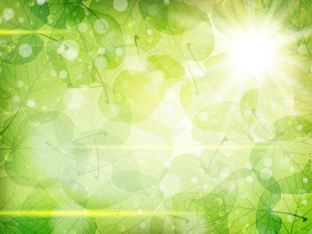 Fondo de hojas verdes.