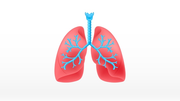 Fondo de ilustración de vector de pulmones