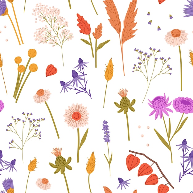 Fondo interminable con flores silvestres secas physalis tansies gypsophila Diferentes plantas silvestres y de jardín que florecen Patrón repetitivo de flores de prado telón de fondo floral Ilustración vectorial plana sin costuras