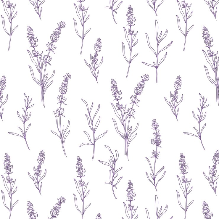 Vector fondo de lavanda diseño de papel tapiz de línea de lavanda arte de línea botánica para impresiones de tela