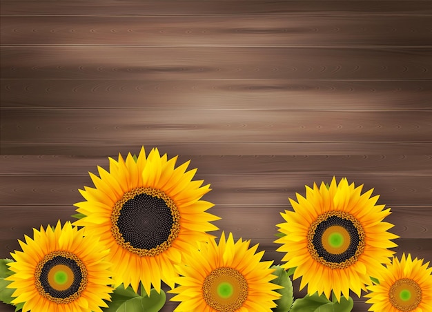 Fondo de madera abstracto con borde que consta de girasoles amarillos ilustración vectorial realista