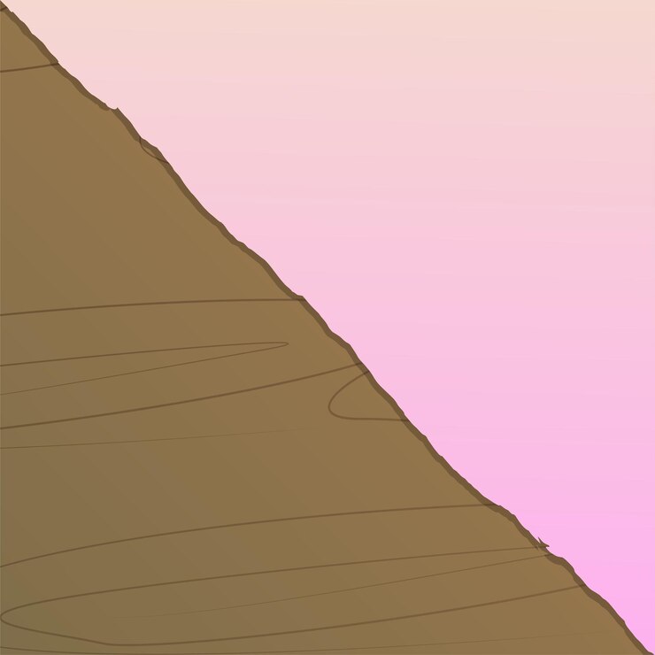 Vector fondo de madera vectorial con papel rasgado