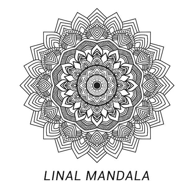 el fondo del mandala lineal vectorial
