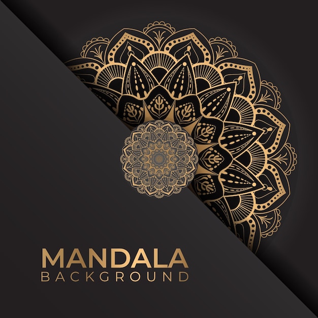 Fondo de mandala de lujo con adornos dorados en estilo vectorial