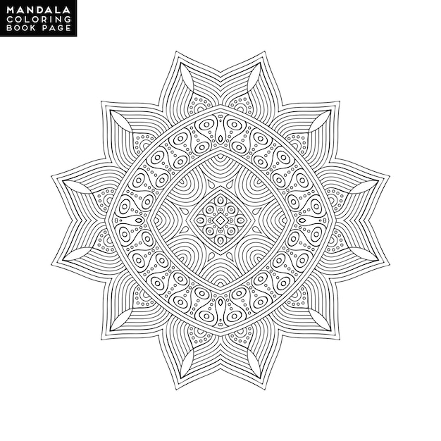 el fondo del mandala
