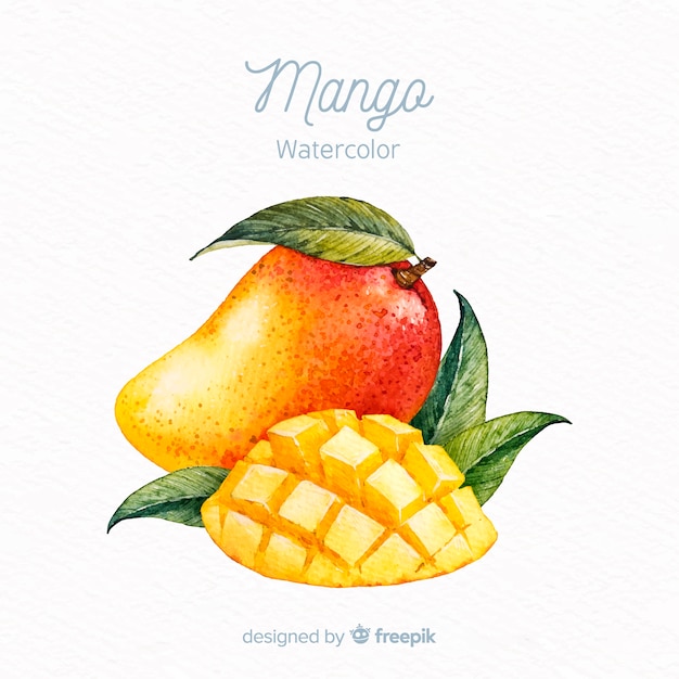 Vector fondo mango dibujado a mano