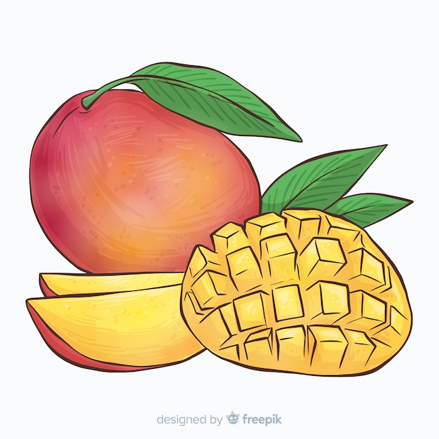 Vector fondo mango dibujado a mano