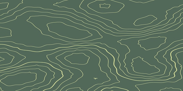 Fondo del mapa de contorno topográfico