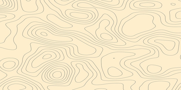 Fondo del mapa de contorno topográfico