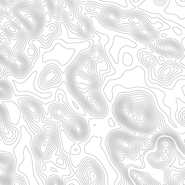 Fondo del mapa de topografía Mapa de cuadrícula Ilustración del contorno vectorial