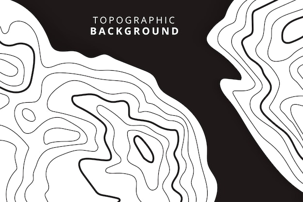 el fondo del mapa topográfico las líneas del mapa topológico el contorno del fondo el resumen geográfico
