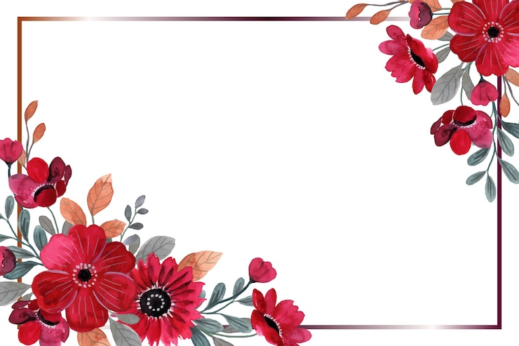Vector fondo de marco de flor roja con acuarela
