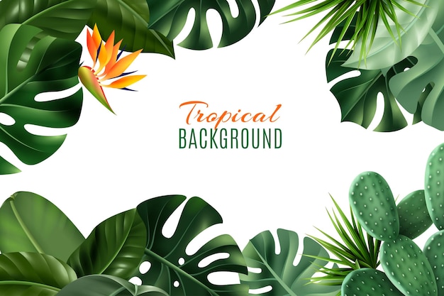 Fondo de marco tropical con flores y hojas de plantas de interior realistas