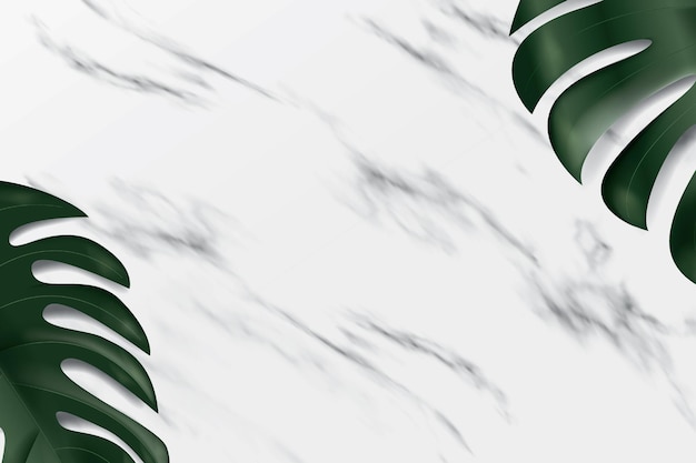 Fondo de mármol con hojas de monstera. Una plataforma realista para la demostración de productos.