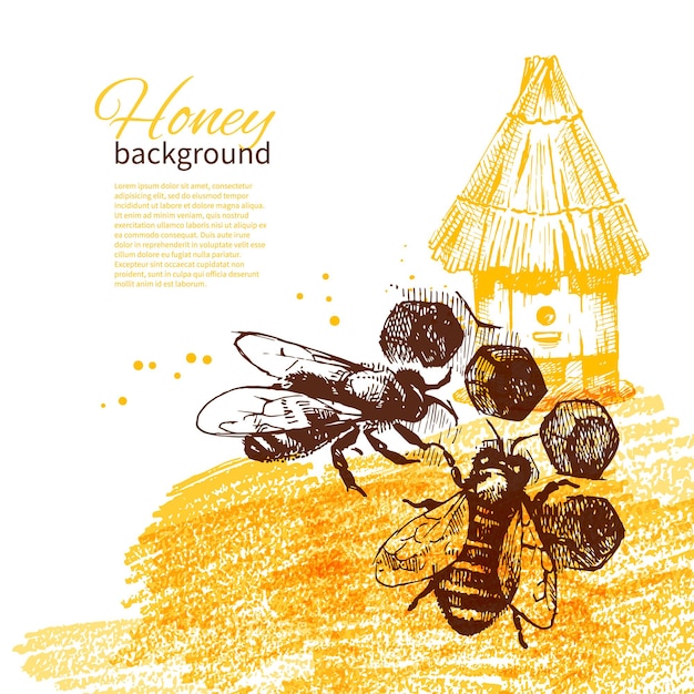 Vector fondo de miel con ilustración de boceto dibujado a mano