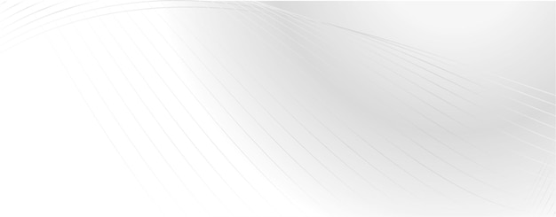 Fondo minimalista blanco abstracto con adornos de línea Fondo minimalista moderno