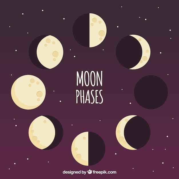 Vector fondo morado con fases lunares en diseño plano