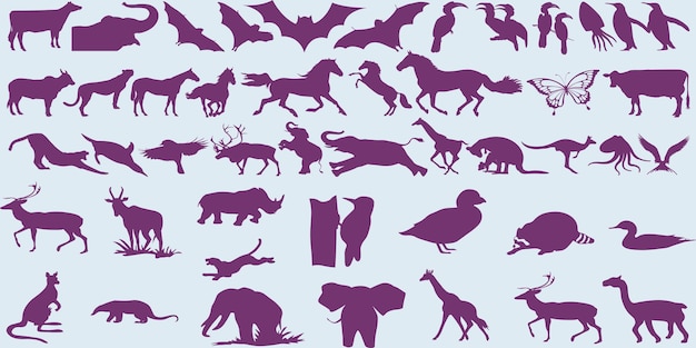 Vector un fondo morado con varios animales.