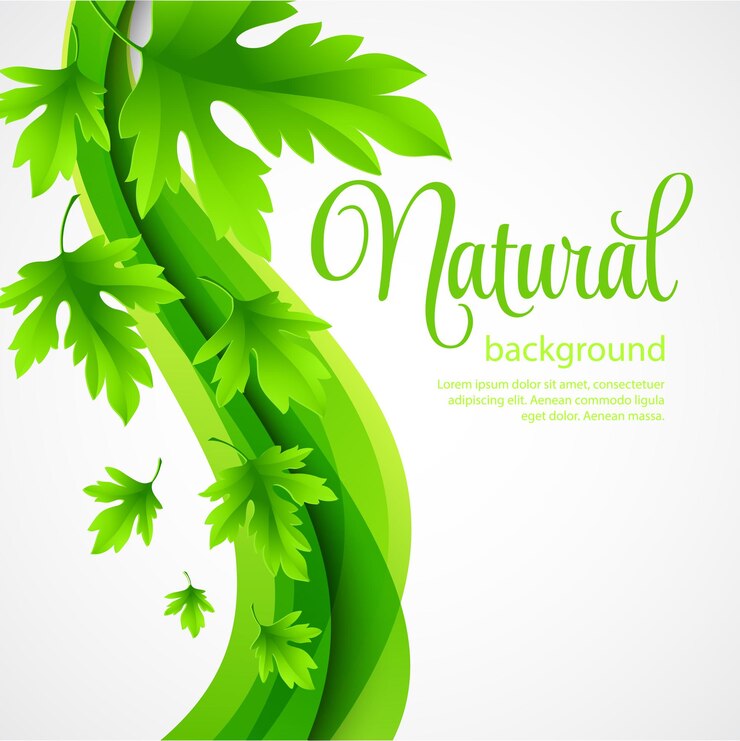 Vector fondo natural con hojas verdes de primavera