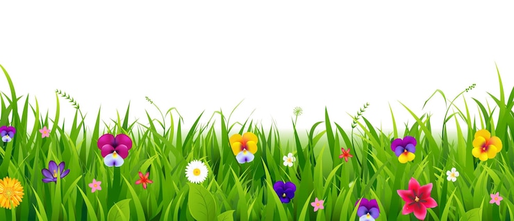 Vector fondo de naturaleza con borde de hierba y flores de verano