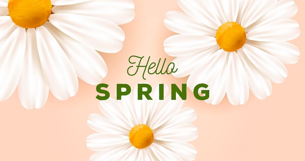 Fondo de naturaleza de primavera o verano con ilustración de flores de margarita realista blanca grande