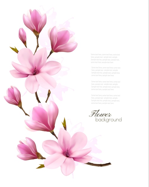 Vector fondo de naturaleza con rama de flor de magnolia rosa. vector