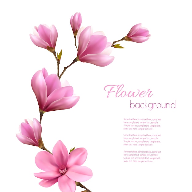 Fondo de naturaleza con rama de flor de magnolia rosa. Vector