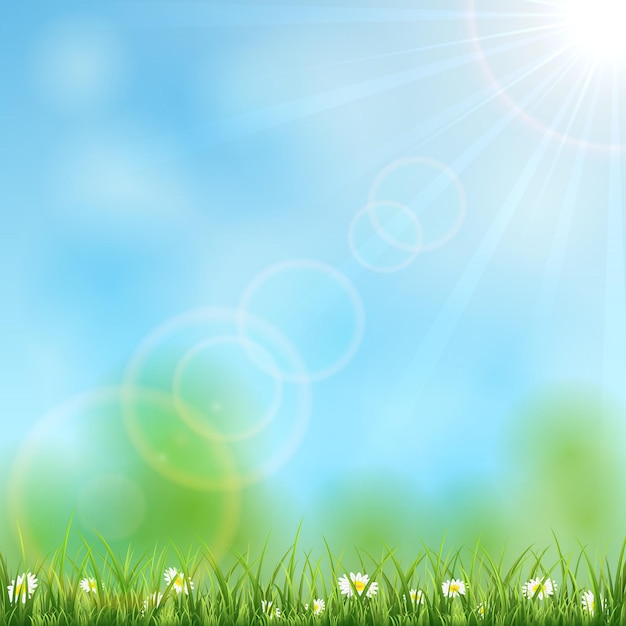 Fondo de naturaleza con sol, hierba y flores, ilustración.