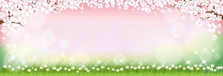 Vector fondo de naturaleza de verano con lindas pequeñas flores de margarita y campos de hierba verde.